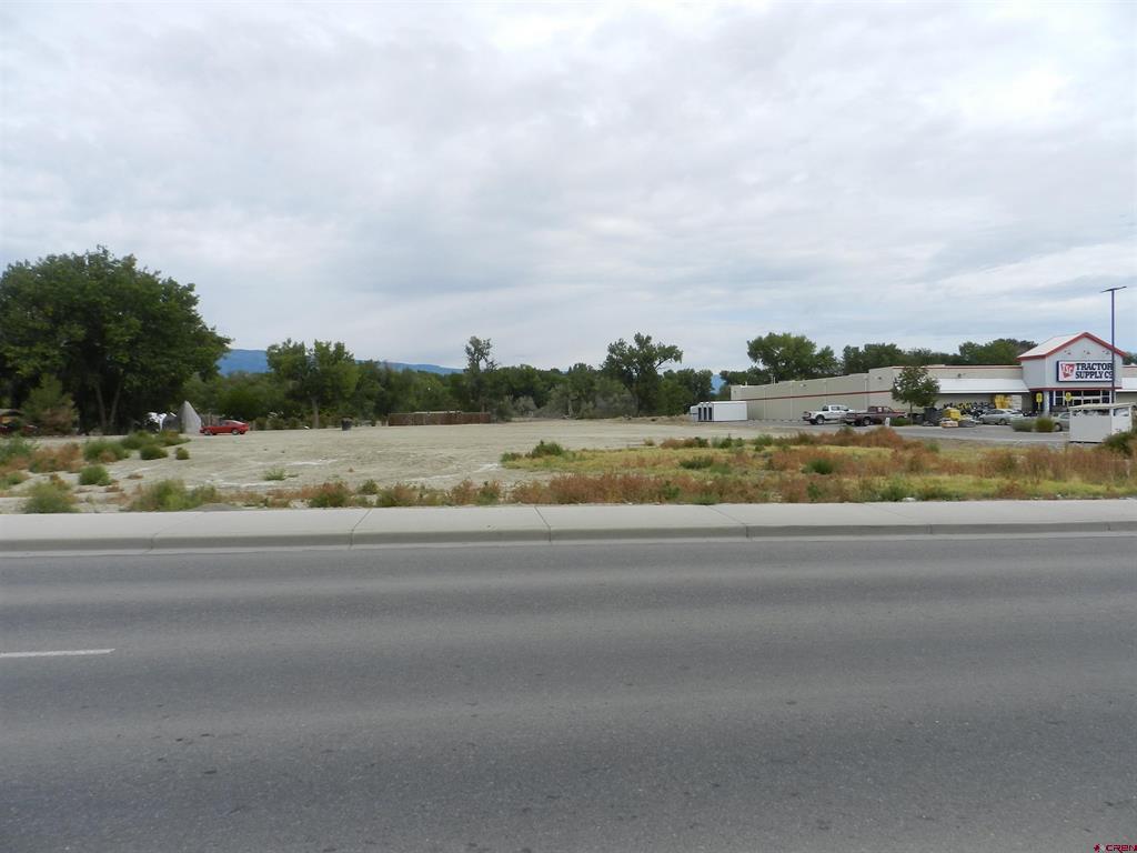 167 Gunnison River Drive Property Photo 14