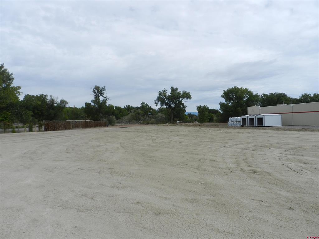 167 Gunnison River Drive Property Photo 15