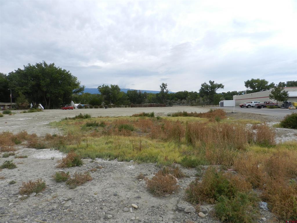 167 Gunnison River Drive Property Photo 17