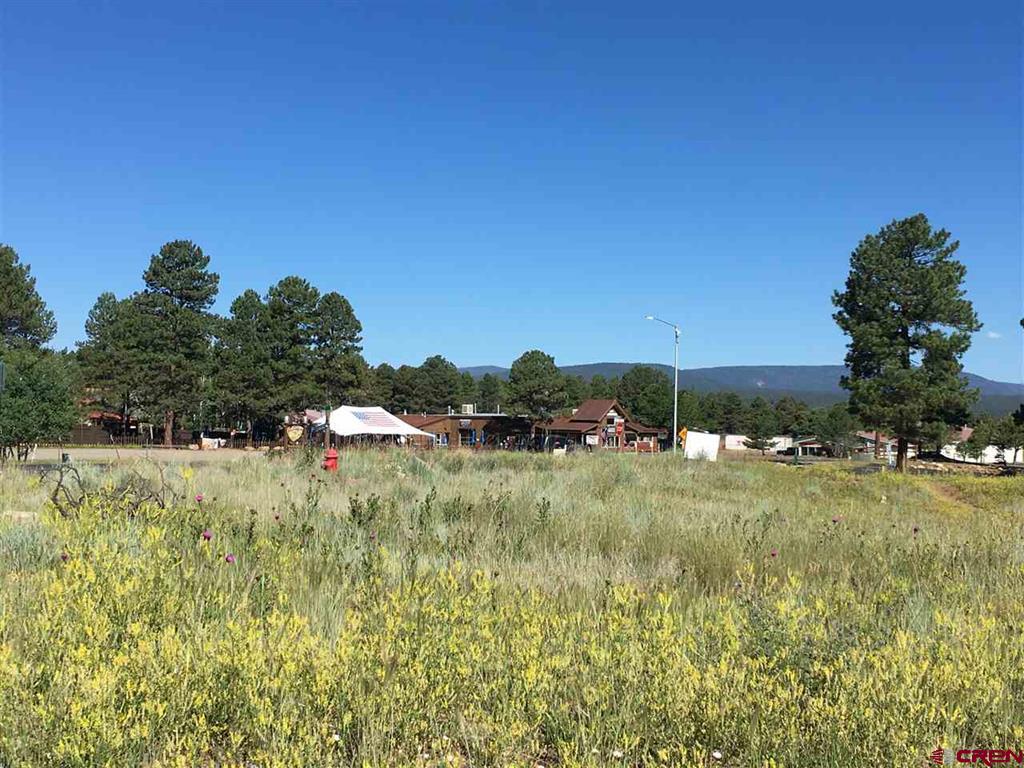 63 N Pagosa Boulevard Property Photo 3
