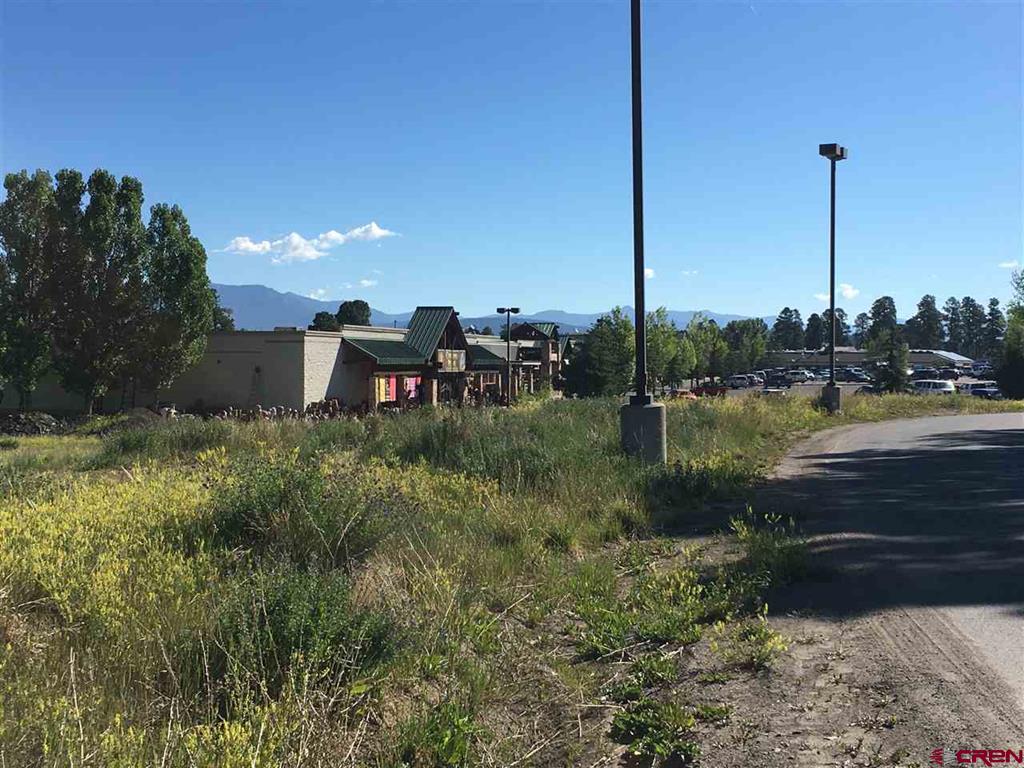 63 N Pagosa Boulevard Property Photo 4