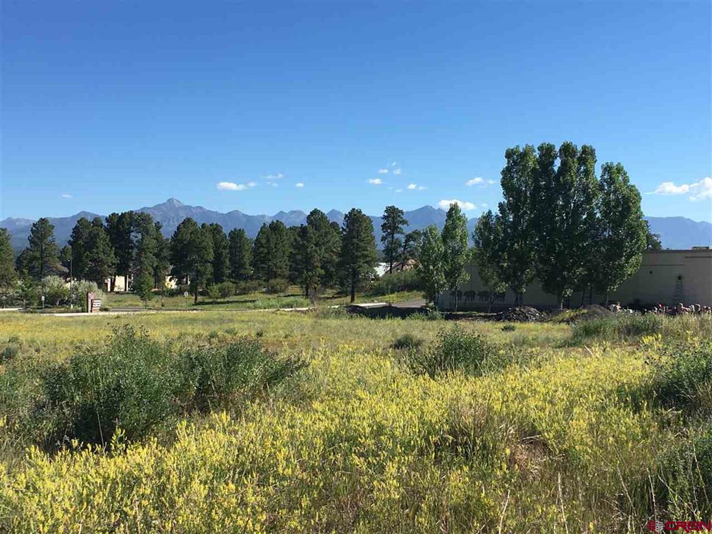 63 N Pagosa Boulevard Property Photo 5