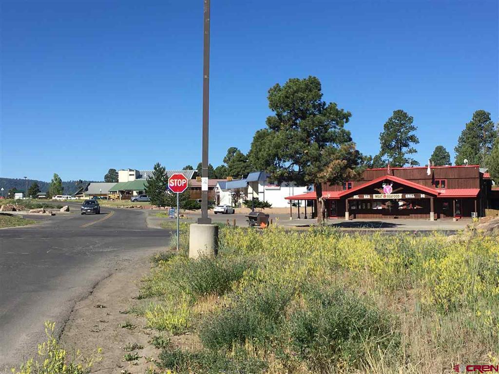 63 N Pagosa Boulevard Property Photo 6