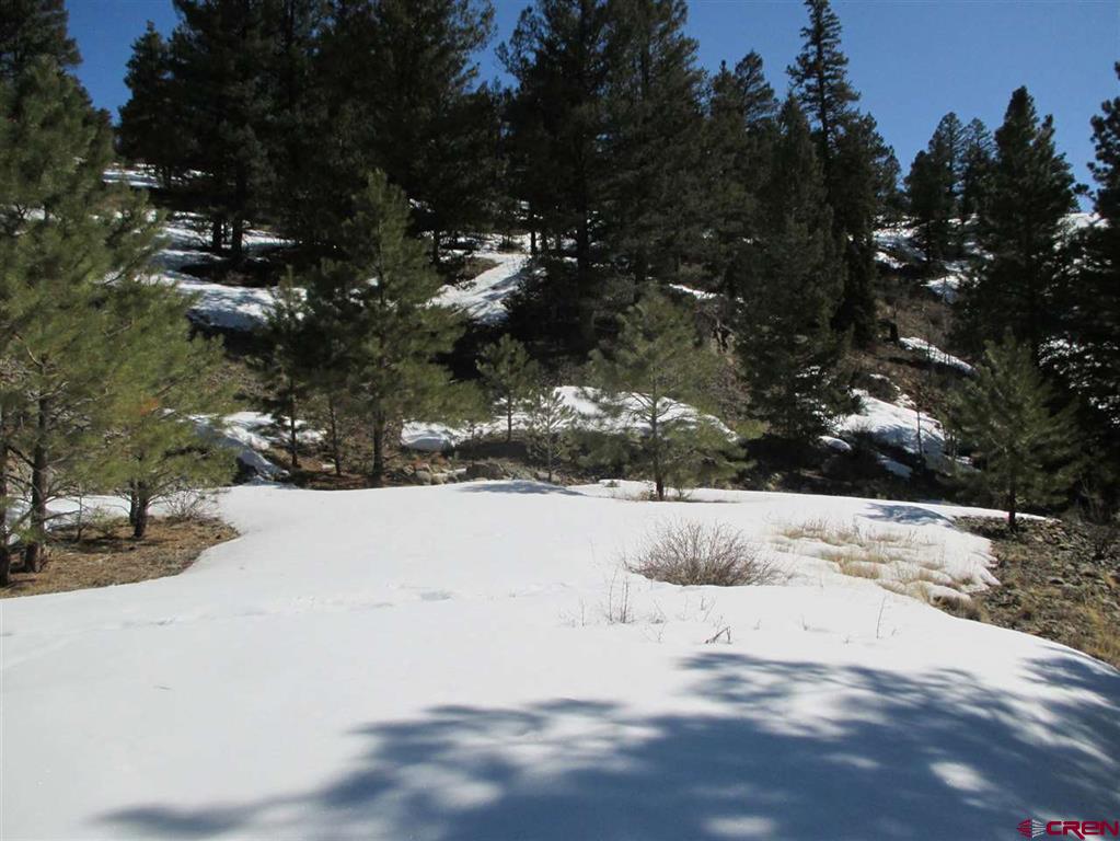 1400 Slumgullion Road Property Photo 21