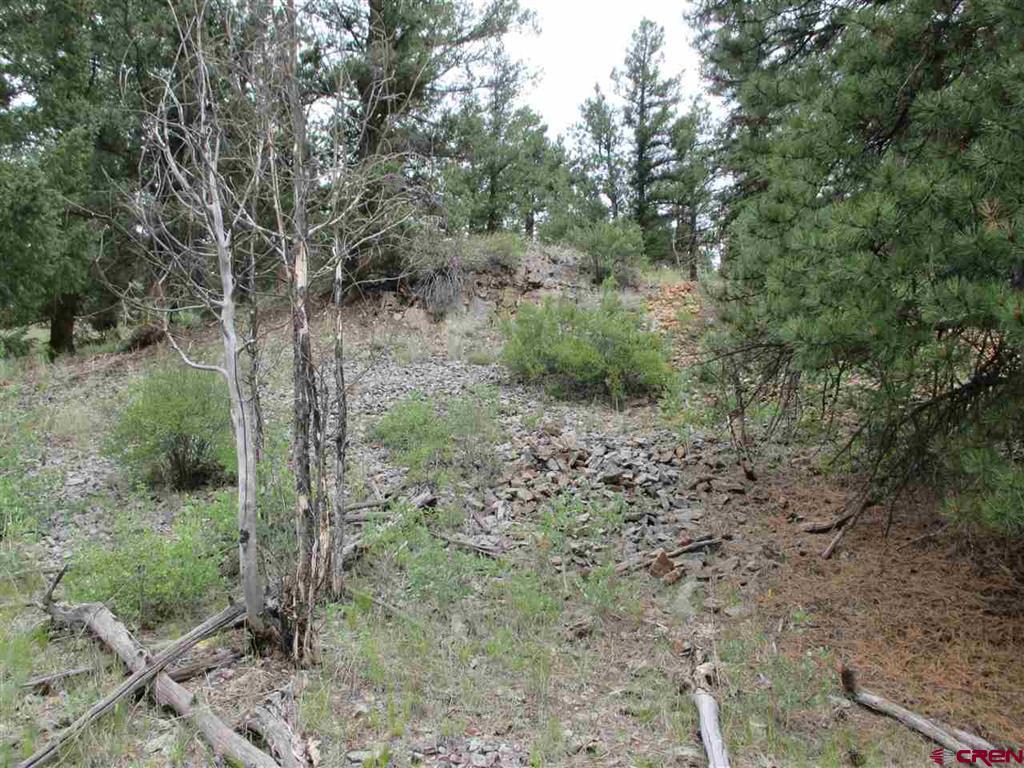 1400 Slumgullion Road Property Photo 27