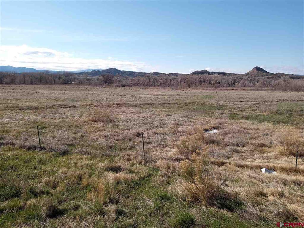 1421 River Frontage Road Property Photo 7