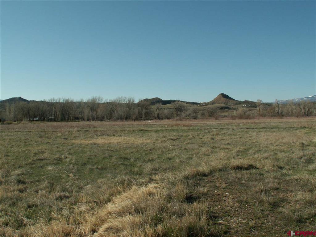 1421 River Frontage Road Property Photo 8