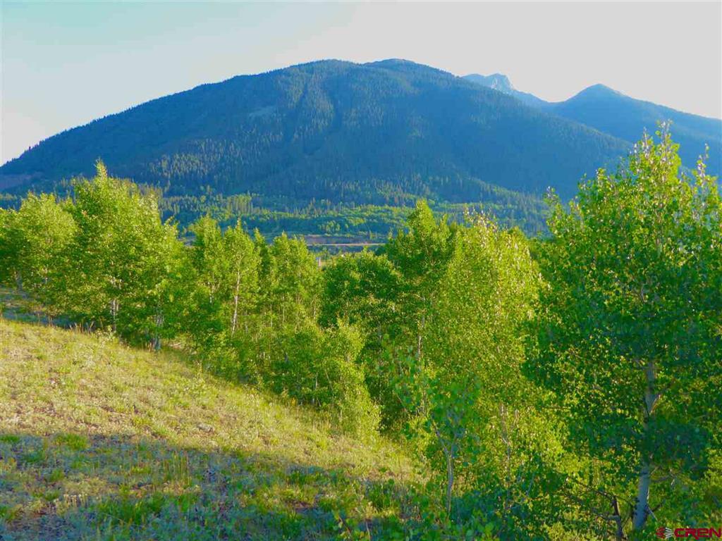 County Road 6 Property Photo 13