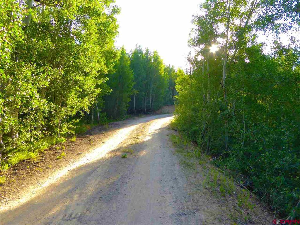 County Road 6 Property Photo 16