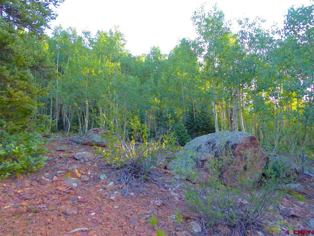 County Road 6 Property Photo 18