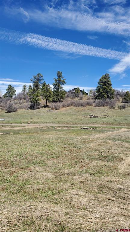 1335 Hills Circle Property Photo 1