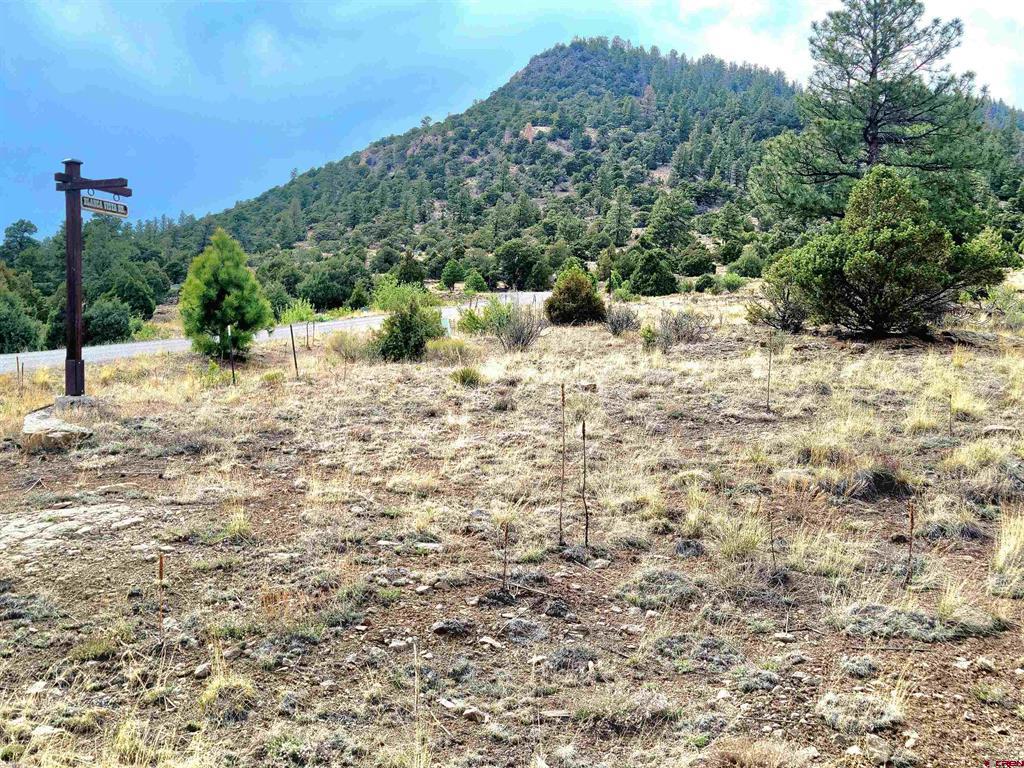 Tbd Little Bear Circle Lot 41 Property Photo 4