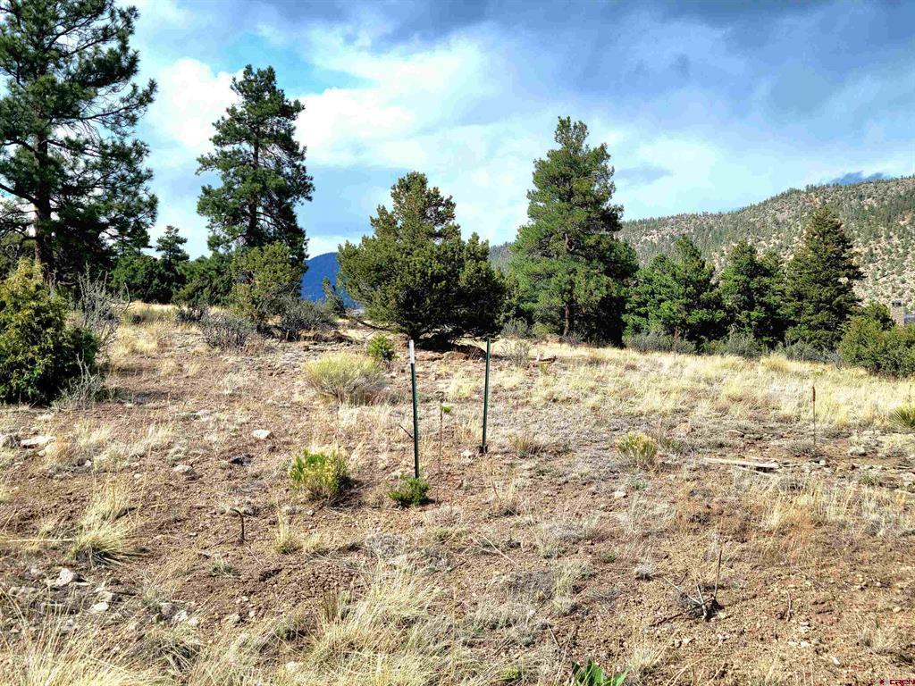 Tbd Little Bear Circle Lot 41 Property Photo 5
