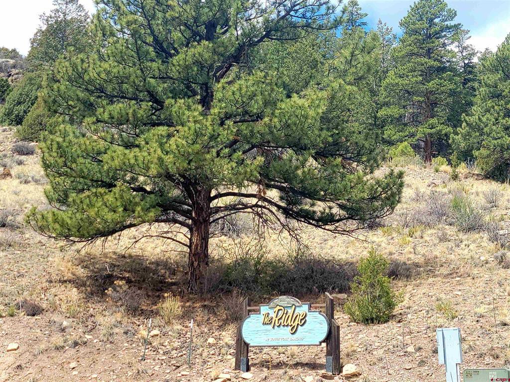 Tbd Little Bear Circle Lot 41 Property Photo 11