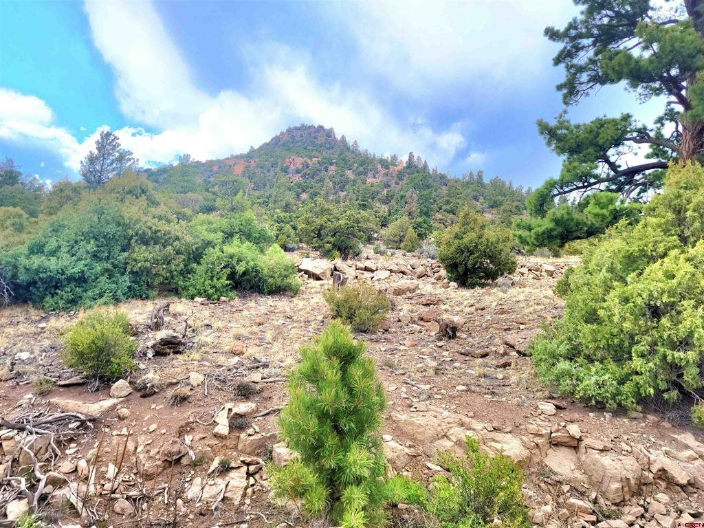 Tbd Little Bear Circle Lot 55 Property Photo 6