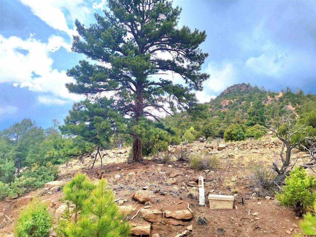 Tbd Little Bear Circle Lot 55 Property Photo 7