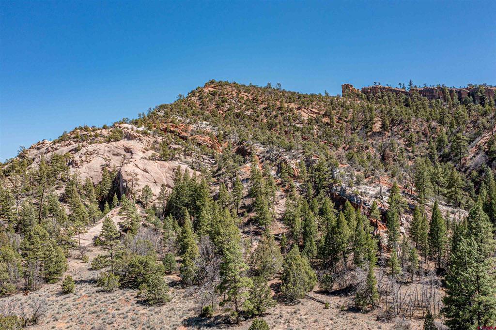000 Box S Ranch Road Property Photo 7