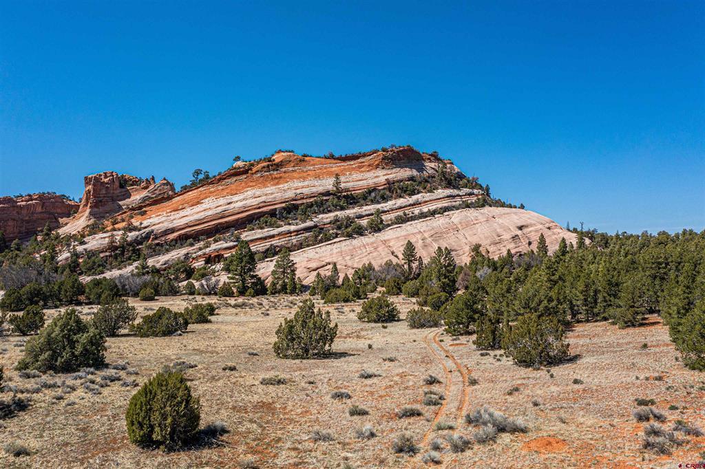 000 Box S Ranch Road Property Photo 10