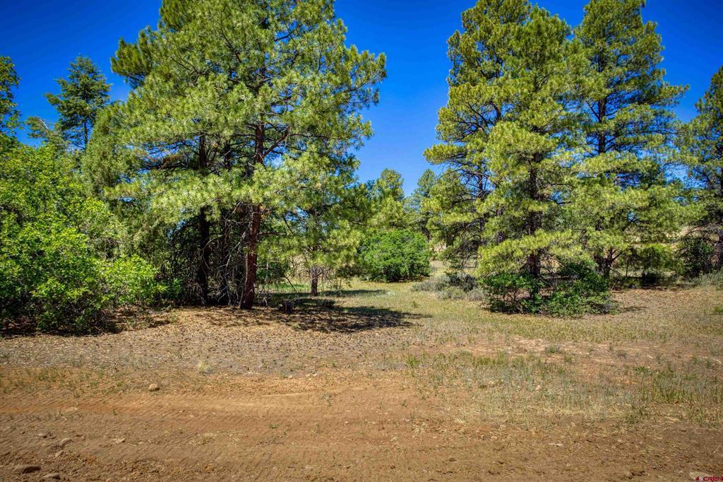 30 High Drive Property Photo 2