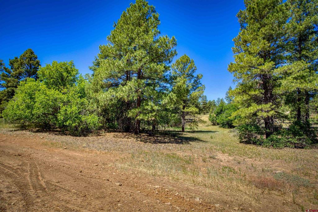 30 High Drive Property Photo 3