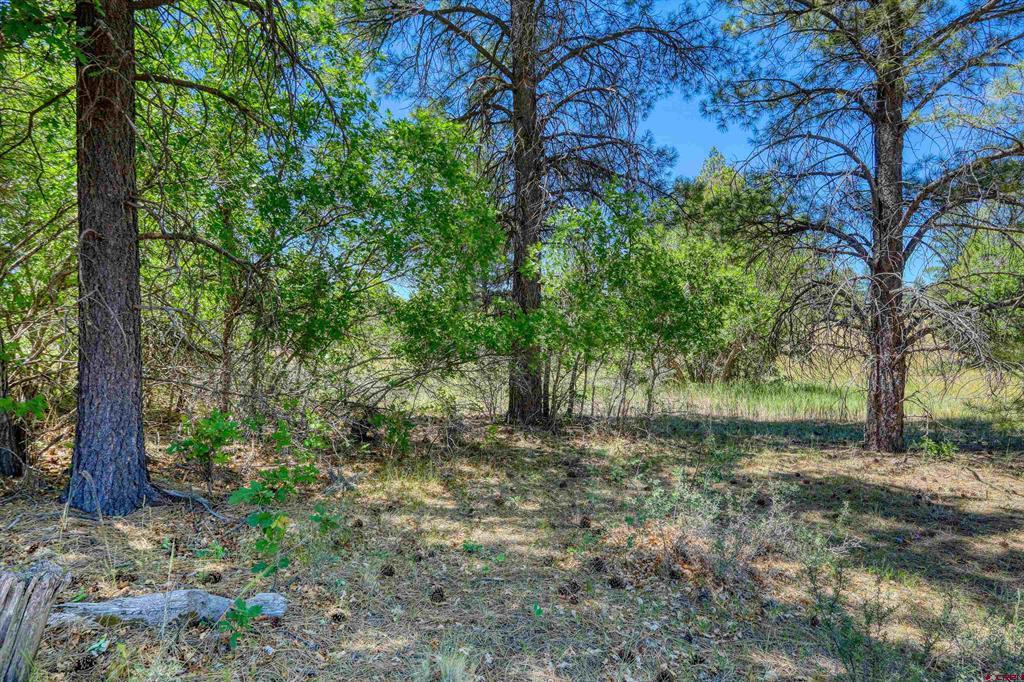 30 High Drive Property Photo 6
