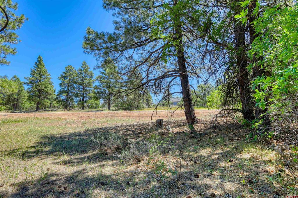 30 High Drive Property Photo 8