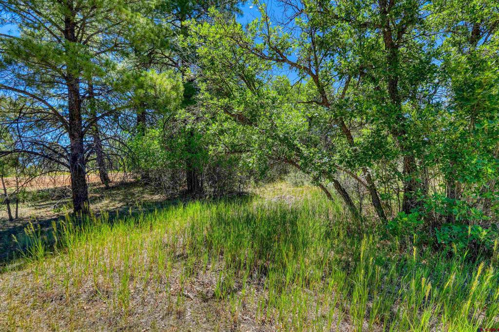 30 High Drive Property Photo 10