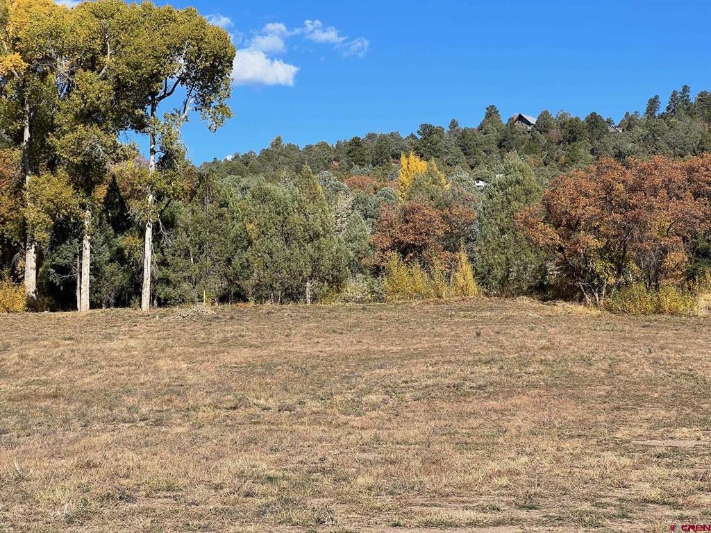 5 Cr 201 Property Photo 13
