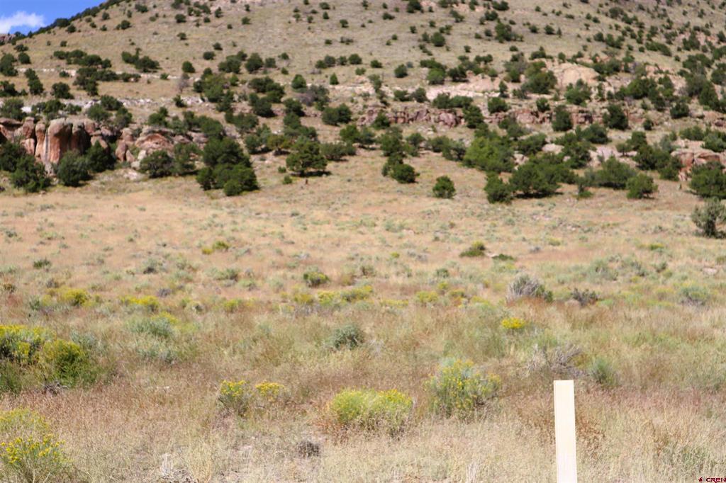 Tract 41 Wapiti Ridge Road Property Photo 4