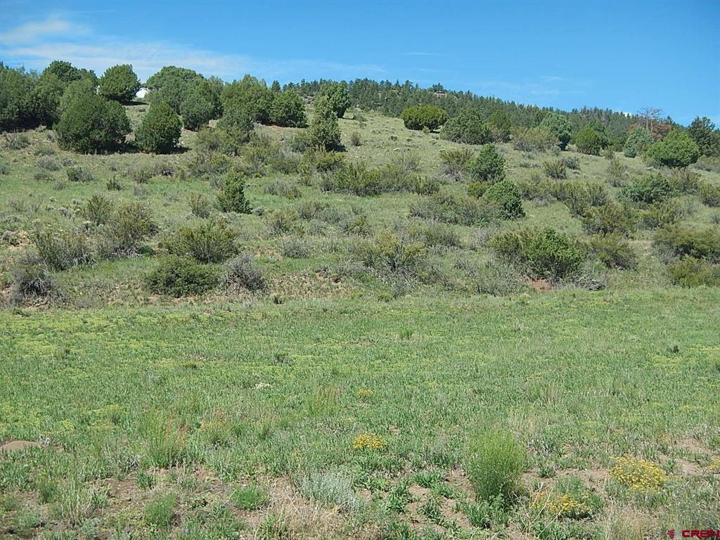727 Bear Creek Circle Property Photo 3