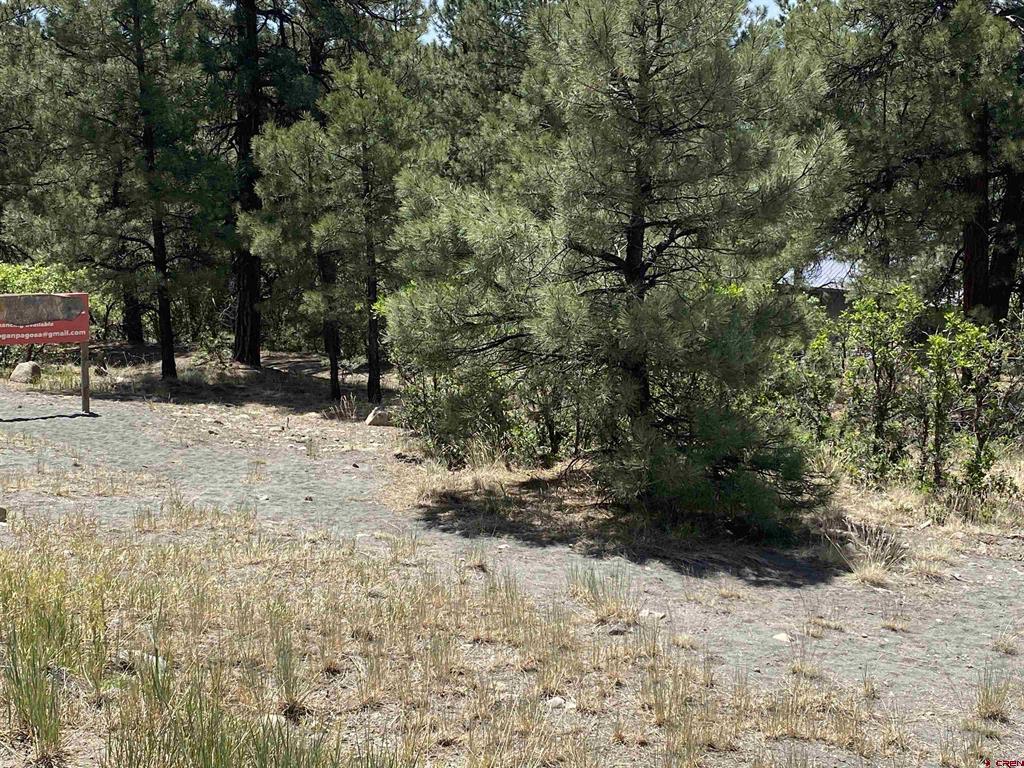 2266 Cr 600 Property Photo 7