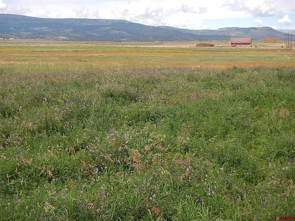 0 County Road 14a Property Photo 5