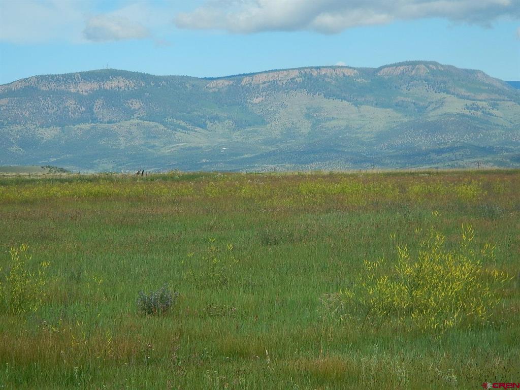 0 County Road 14a Property Photo 7