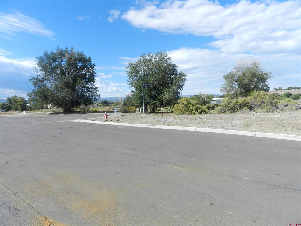 Tbd Lots 7 & 8 Hawk Parkway Property Photo 1