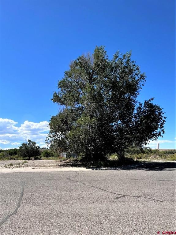 Tbd Lots 7 & 8 Hawk Parkway Property Photo 3