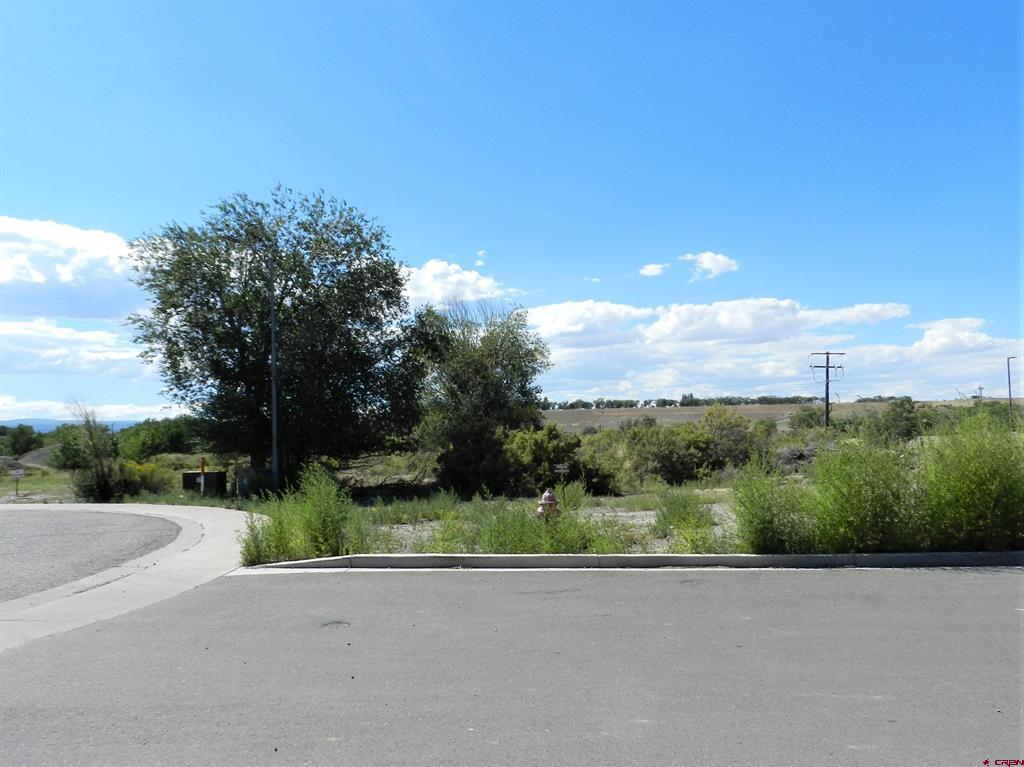 Tbd Lot 8 Hawk Parkway Property Photo 4
