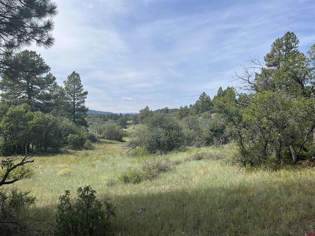 257 E Arbol Park Drive Property Photo