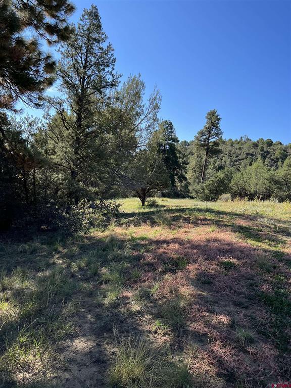480 Winchester Lane Property Photo 3