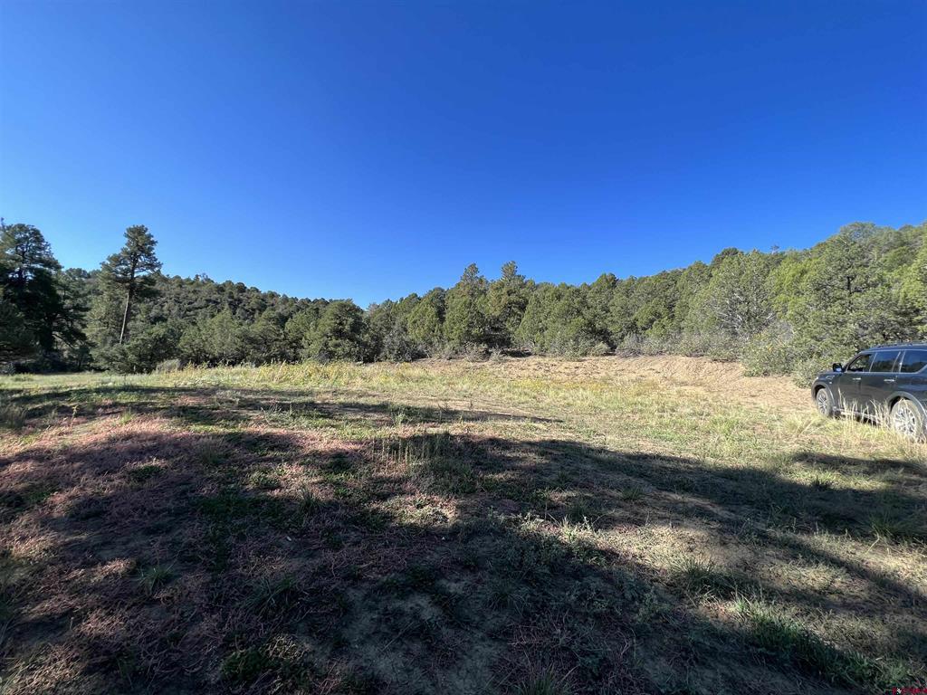 480 Winchester Lane Property Photo 17