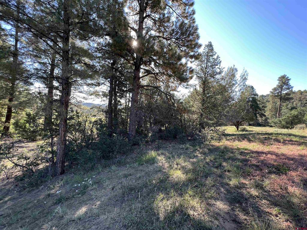 480 Winchester Lane Property Photo 19