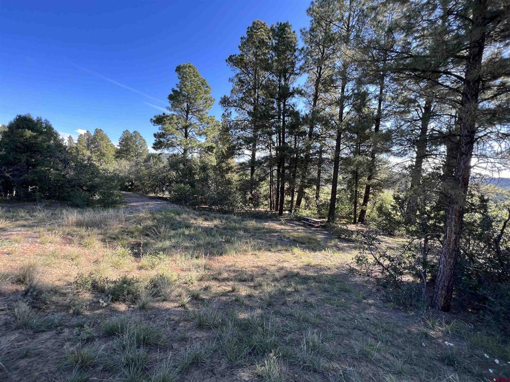 480 Winchester Lane Property Photo 20
