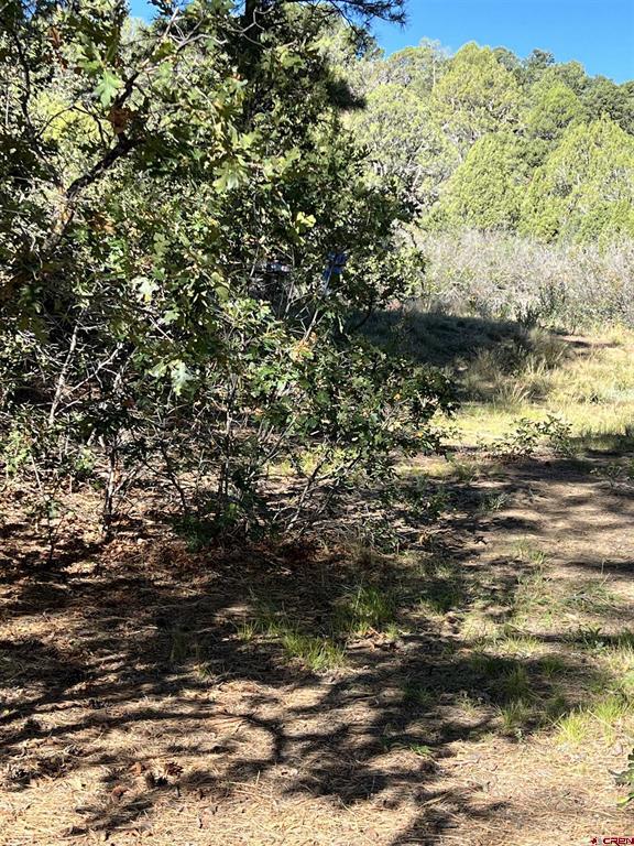 480 Winchester Lane Property Photo 25