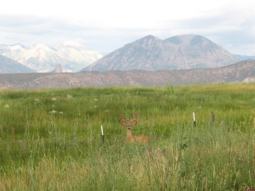 Tbd Grandview Mesa Road Property Photo 7