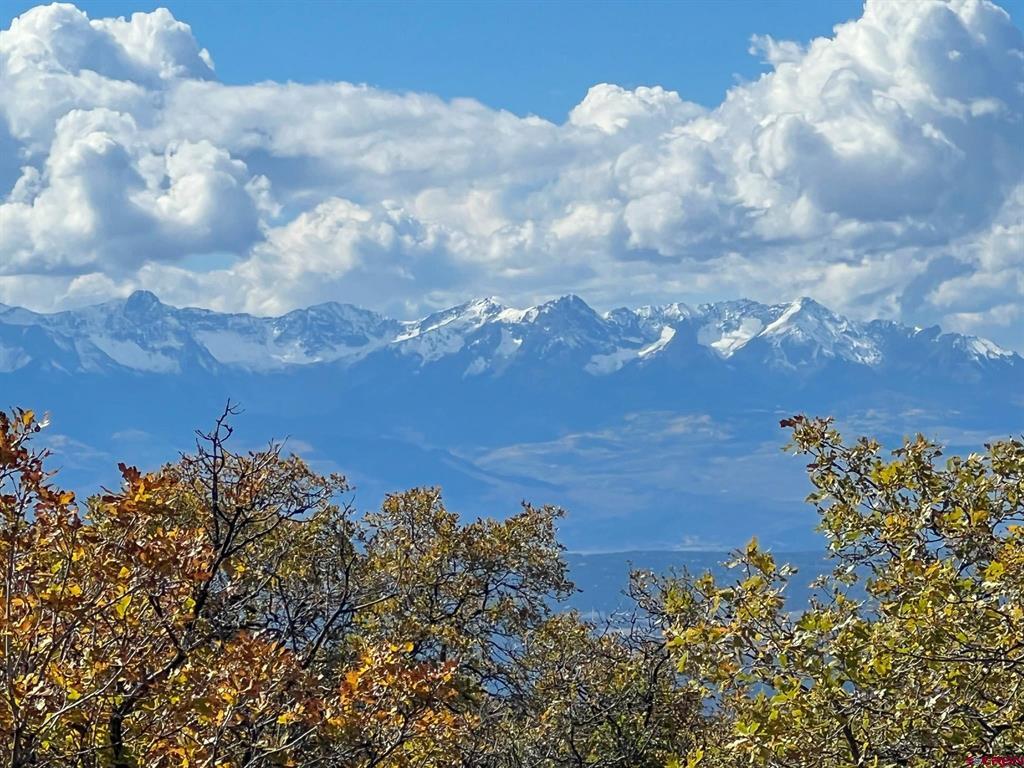 Tbd Buckhorn Mountain Ranch Property Photo 3