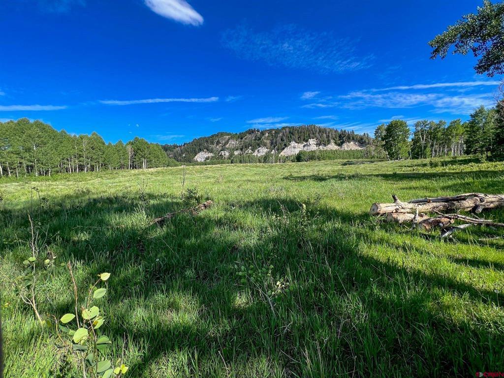 Tbd Buckhorn Mountain Ranch Property Photo 6