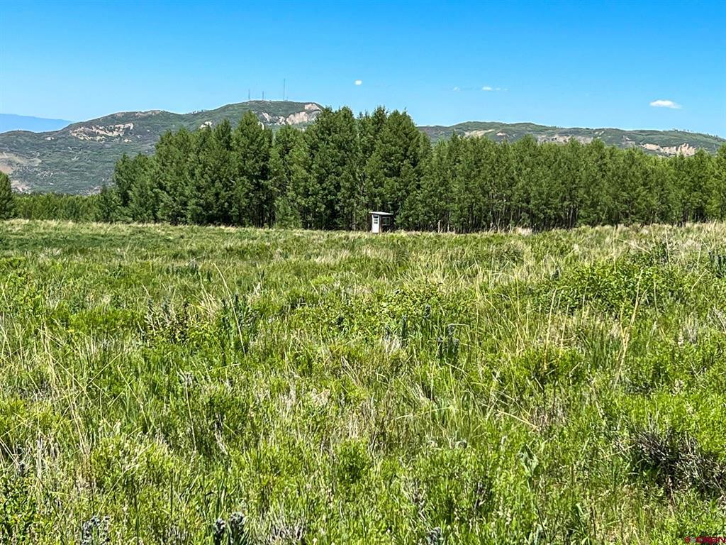 Tbd Buckhorn Mountain Ranch Property Photo 7