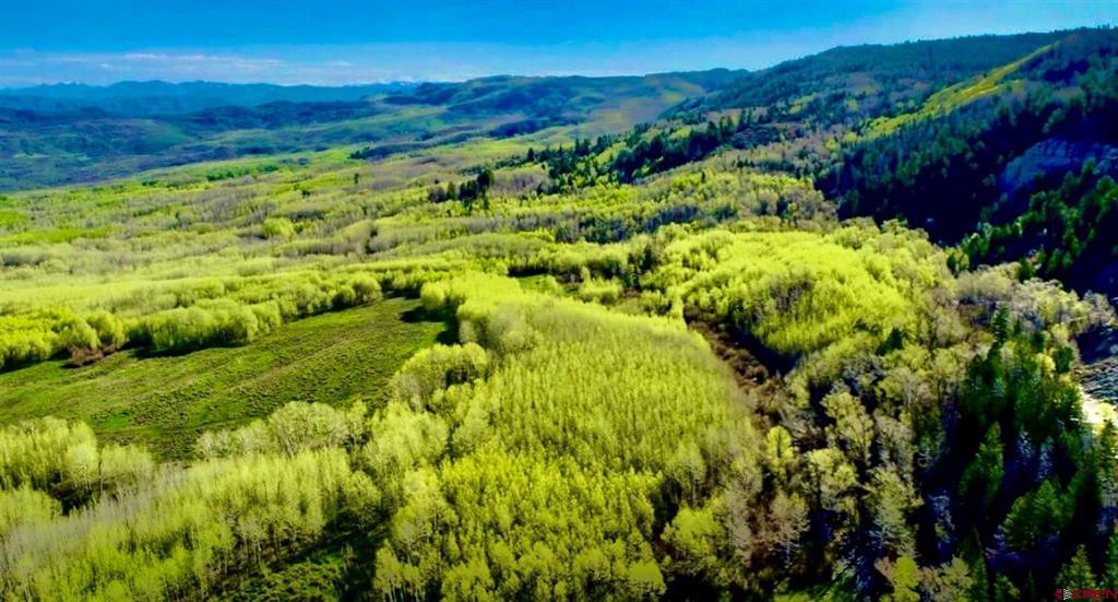 Tbd Buckhorn Mountain Ranch Property Photo 8