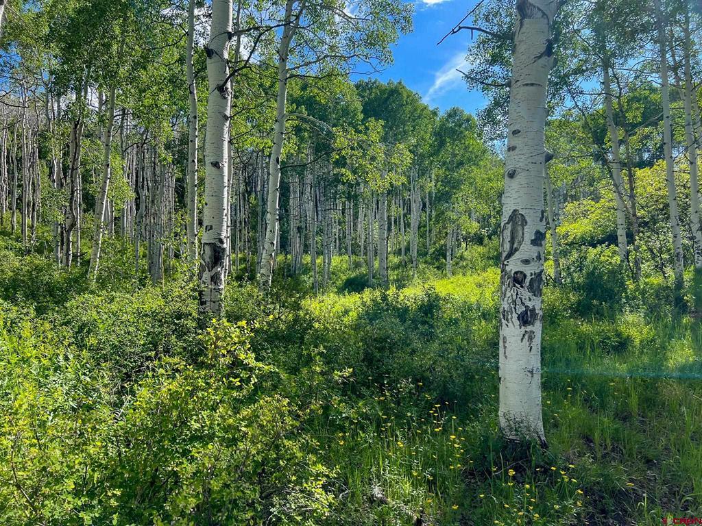 Tbd Buckhorn Mountain Ranch Property Photo 9