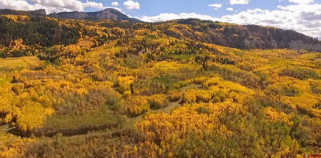 Tbd Buckhorn Mountain Ranch Property Photo 10