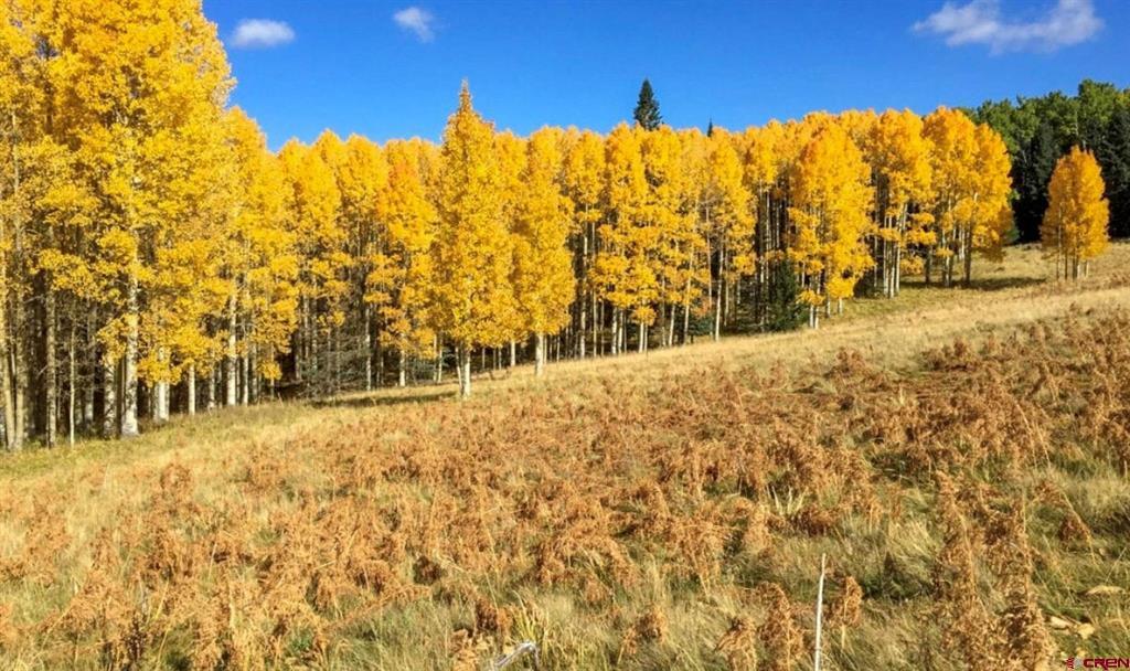 Tbd Buckhorn Mountain Ranch Property Photo 11